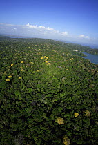 Aerial view of the Canal Zone, Barro Colorado Island, Research Station of the Smithsonian Tropical Research Institute, Panama