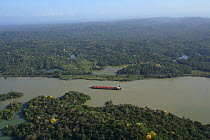 Aerial view of the Canal Zone, ship in Panama Canal, surrounded by tropical rainforest, Panama