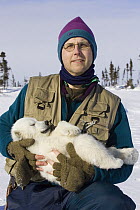 Polar Bear (Ursus maritimus) researcher Nick Lunn holds a tranquilized three to four month old cub during examination, vulnerable, Wapusk National Park, Manitoba, Canada