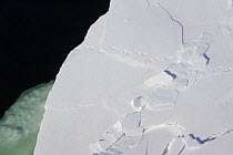 Polar Bear (Ursus maritimus) tracks coming onto edge of sea ice, vulnerable, Wapusk National Park, Manitoba, Canada
