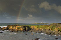 Rainbow and Piedras Blancos Lighthouse, Piedras Blancos coastline, California