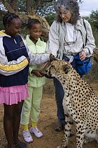 Cheetah (Acinonyx jubatus) ambassador Chewbacca and Dr. Laurie Marker during an education program with Namibian school children, Cheetah Conservation Fund, Otijwarongo, Namibia