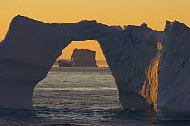 Icebergs at Sunset, Wedell Sea, Antarctica