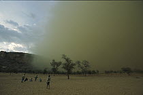 Dogon natives watch approaching sandstorm, Mali, west Africa