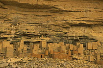 Dogon village built into the sandstone cliffs of Bandiagara, Mali, West Africa