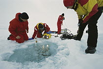 Researchers using diving robot to observe sea ice from below, Ispol expedition, Weddell Sea, Antarctica
