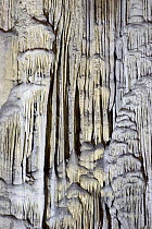 Stalactites in cave, Cacahuamilpa Caverns, Grutas de Cacahuamilpa National Park, Guerrero, Mexico