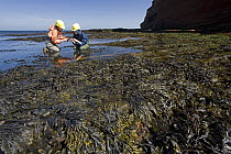 Two scientists from the Alfred-Wegener Institute, collecting tide pool samples, North sea, Helogland, Germany