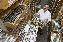 Researcher Jim Lewis curator of the true bug collection at INBio, San Jose, Costa Rica