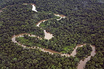 Silt-laden Yavari River winding through rainforest, Amazon Basin, Peru