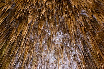 Stalactites, Carlsbad Caverns National Park, New Mexico