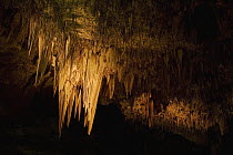 Stalactites, Carlsbad Caverns National Park, New Mexico
