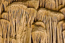 Calcite flowstone formations, Carlsbad Caverns National Park, New Mexico