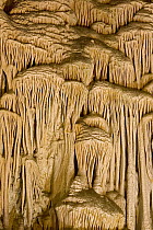Calcite flowstone formations, Carlsbad Caverns National Park, New Mexico
