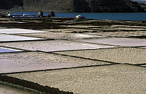 Old evaporative salt ponds of Janubio near Lanzarote, Canary Islands, Spain