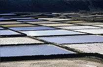 Old evaporative salt ponds of Janubio near Lanzarote, Canary Islands, Spain