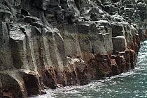 Basalt columns along the coast, La Palma Island, Canary Islands, Spain