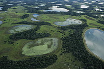 Lakes in April after rainy season near Rio Negro, southern Pantanal, Brazil