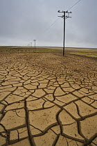 Mud cracks after unusual winter rains rains and subsequent drought, near Aub, Diamanten Sperrgebiet, Namib Desert, Namibia