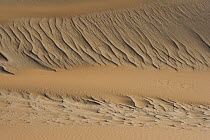 Ripples caused by wind on sand dune, Africa
