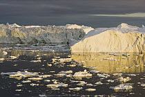 Large icebergs at midnight, end of June, mid-summer night, Greenland
