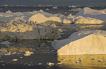 Large icebergs at midnight, end of June, mid-summer night, Greenland