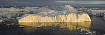 Large icebergs at midnight, end of June, mid summer night, Greenland