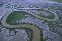 Aerial view of river winding through mudflats, Kimberley Coast, Australia