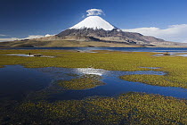 Lake Chungara with Parinacota Volcano, Lauca National Park, Chile