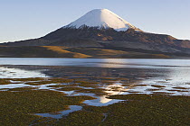 Lake Chungara with Parinacota Volcano, Lauca National Park, Chile