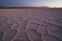 Hexagons in dry salt lake at sunset, Salar de Atacama, Chile
