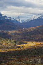 View from North Fork Pass towards Tombstone Mountains, Canada