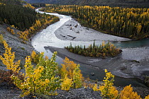Lapie River winding through boreal forest in autumn, Canada