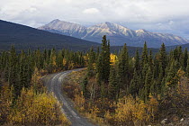 Autumn colors along the North Canol Road, Yukon Territory, Canada
