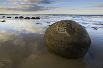 Moeraki Boulders, an example of septarian concretions, Koekohe Beach, New Zealand
