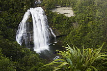 Mokau Falls in rainforest, Te Urewera National Park, New Zealand