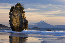 Sea stack with Mount Taranaki in background, New Zealand