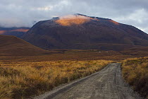 Dirt road in Tongariro National Park, New Zealand