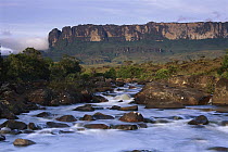 Kukenan River flowing towards Roraima Tepui, Canaima National Park, Venezuela
