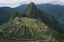 Ruins of Machu Picchu, 9000 feet up in tropical rainforest, Peru