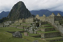 Tourists at ruins of Machu Picchu, 9000 feet up in tropical rainforest, Peru