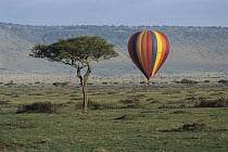Hot air balloon flying over Masai Mara National Reserve, Kenya