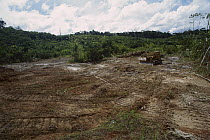 Rainforest deforestation, French Guiana