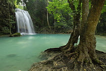 Seven Step Waterfall in monsoon forest, Erawan National Park, Thailand