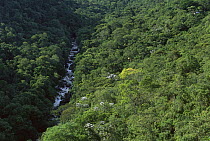 River and Atlantic Forest, Itatiaia National Park, Rio De Janeiro, Brazil
