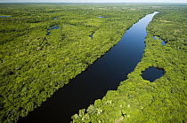 Rio Negro, Pantanal, Brazil