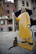 Domestic Cat (Felis catus) adult stray looking up at a statue of a man holding a fish outside of a restaurant, Europe
