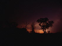Kalahari thunder storm, Botswana