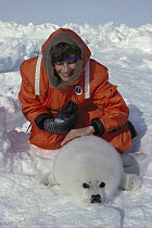 Harp Seal (Phoca groenlandicus) pup and tourist, Magdalen Islands, Canada