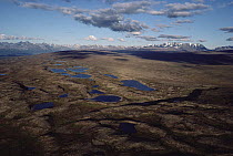 Tundra landscape, Lake Clark National Park and Preserve, Alaska Range, Alaska